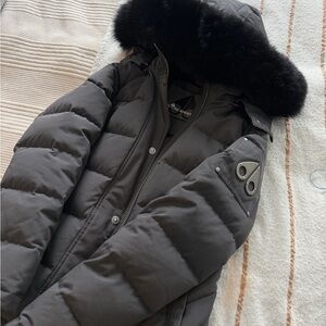 Moose Knuckles Charcoal Puffer with Black Fur Trim